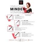 Lavinia C2 macskanyelv #2-es díszítő ecset