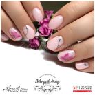 Light Rose - Flexi Builder 