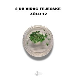   Zöld - 12 - Színes szárított virág utántöltő 2 db virágfejecske