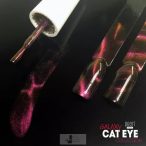 GALAXY CAT EYE EFFECT 704 GÉL LAKK - ROSE CORAL