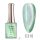 C310 - CANNI Diamond Dazzling UV/LED Cat Eye gél lakk 16 ml