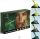 EVERGREEN 8ml szett