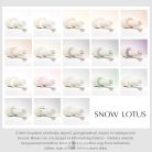 V4 - Snow Lotus teljes szett - 18 db szín