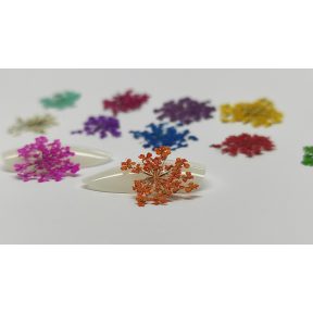 Műköröm díszítők